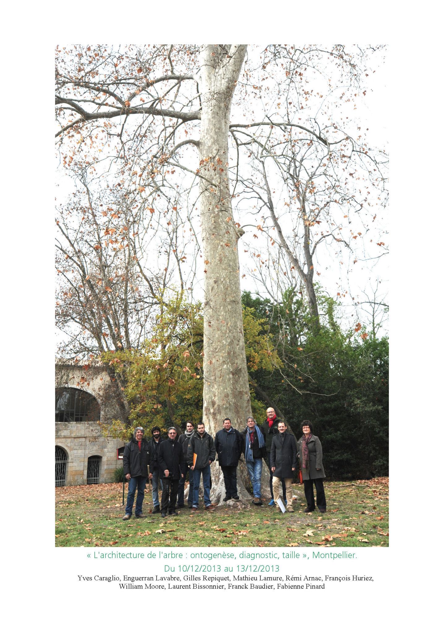 Photos des formations de l'Atelier de l'Arbre