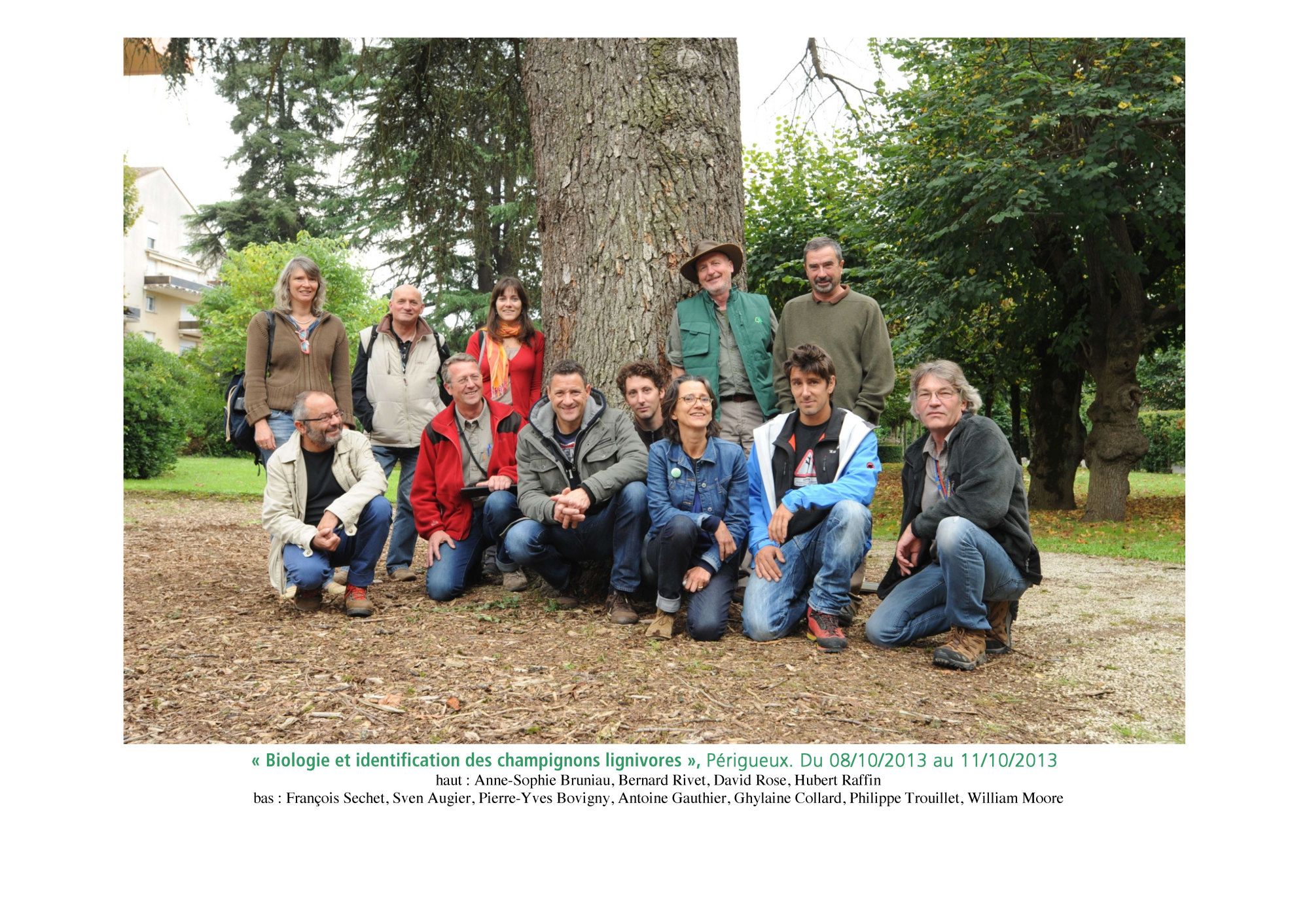 Photos des formations de l'Atelier de l'Arbre