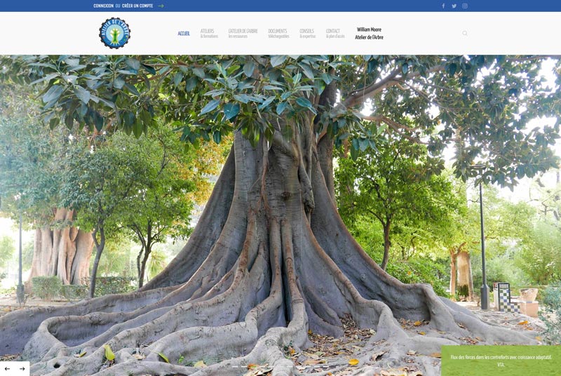 arbre-fb.jpg