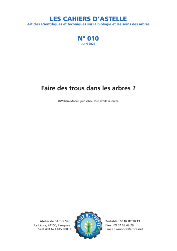 N&deg;10 - Faire deds trous dans les arbres
